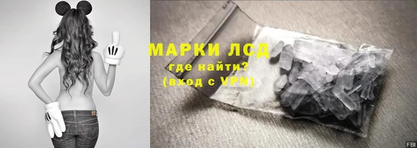 хмурый Алзамай