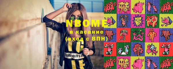 хмурый Алзамай