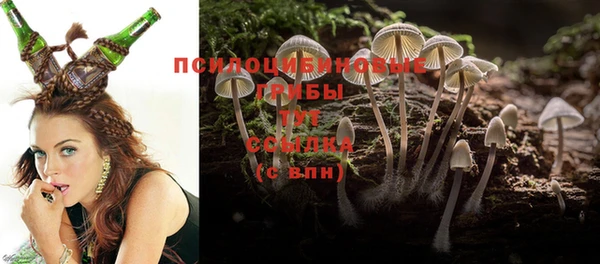 меф Алексин