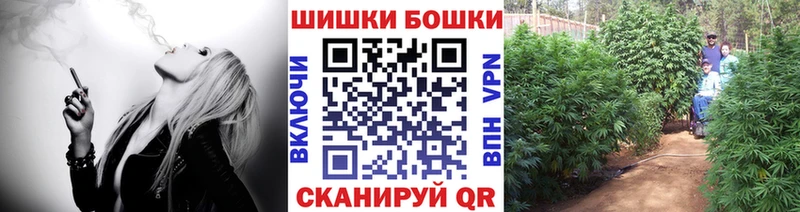 мориарти Telegram  как найти закладки  Мензелинск  Шишки марихуана конопля 